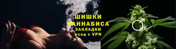 тгк Ладушкин
