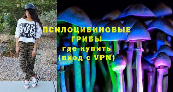 индика Лагань