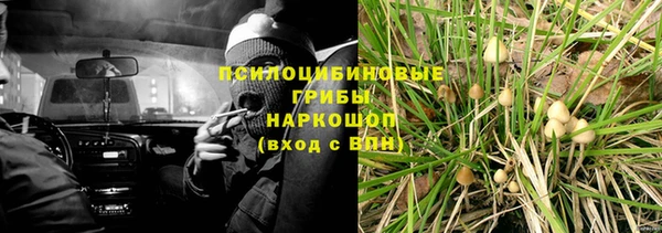 крисы Липки