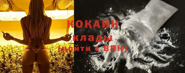 индика Лагань