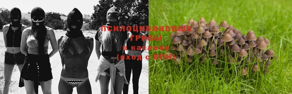 тгк Ладушкин