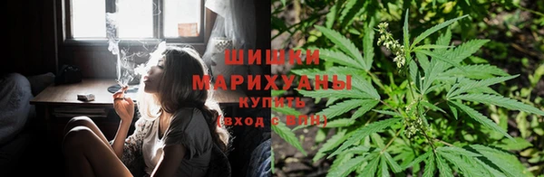 крисы Липки