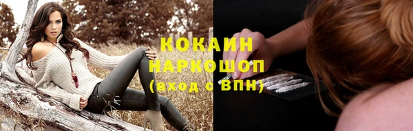 индика Лагань
